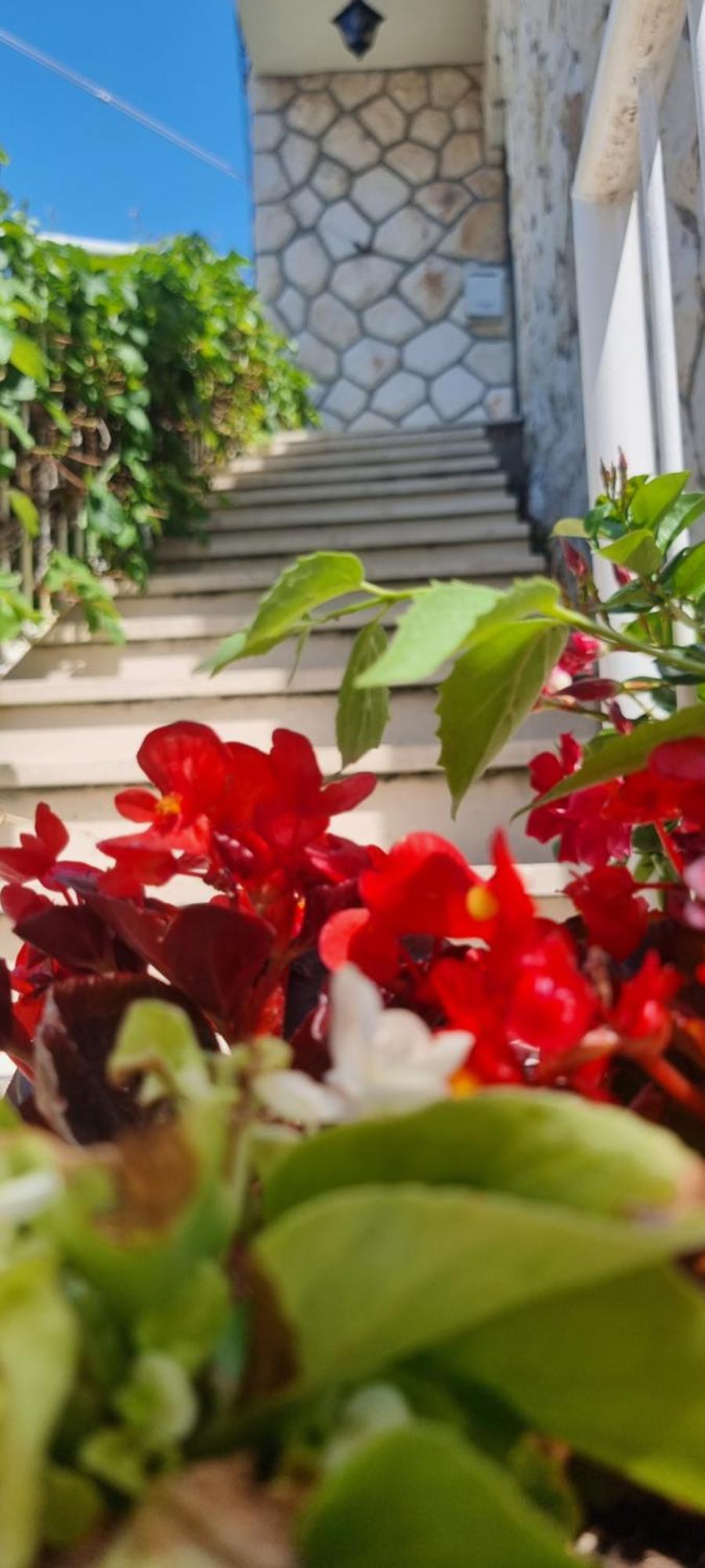 Apartment Lea Bayview ドゥブロブニク エクステリア 写真